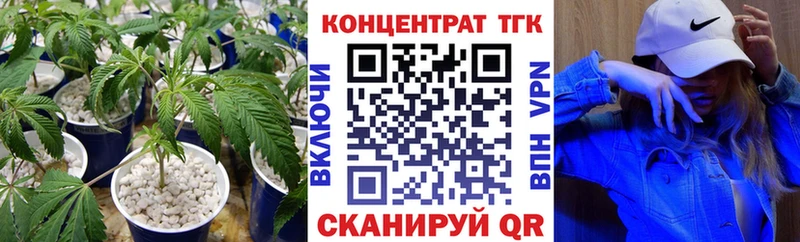 закладка  Орлов  ТГК концентрат 